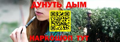 молекула духа Партизанск