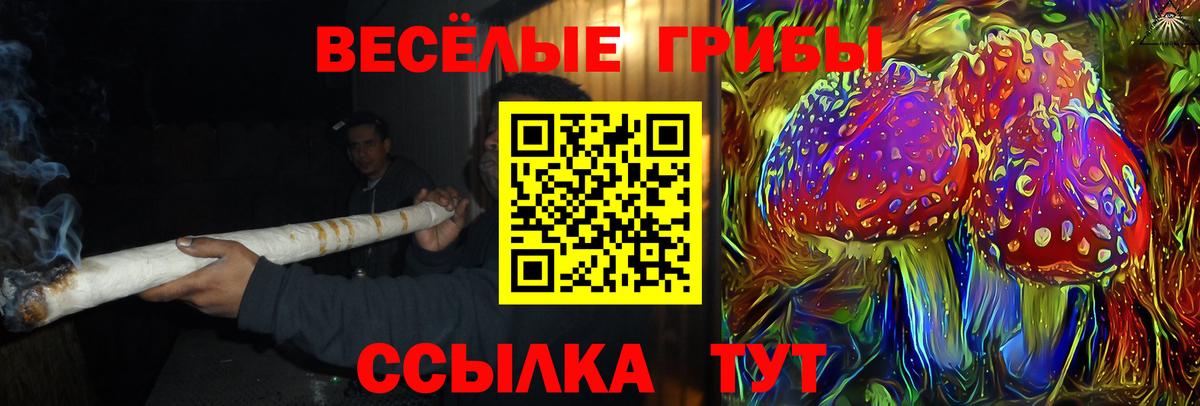 Галлюциногенные грибы Psilocybe Петропавловск-Камчатский